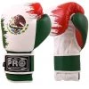 Pro Boxing Supplies Pro Boxing® Classic Leather Gloves - Mexican Flag