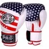 Pro Boxing Supplies Pro Boxing® Classic Leather Training Gloves - USA Flag