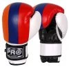 Pro Boxing Supplies Pro Boxing® Series Deluxe Starter Boxing Gloves - Armenian Flag