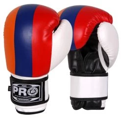 Pro Boxing Supplies Pro Boxing® Series Deluxe Starter Boxing Gloves - Armenian Flag