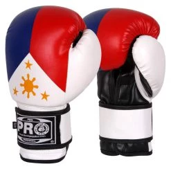 Pro Boxing Supplies Pro Boxing® Series Deluxe Starter Boxing Gloves - Filipino Flag