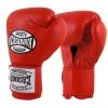 Pro Boxing Supplies Casanova Boxing® Hook And Loop Training Fight Gloves - Red