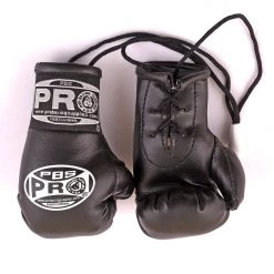 ProBoxingSupplies Pro Boxing® Mini Gloves