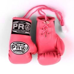 ProBoxingSupplies Pro Boxing® Mini Gloves