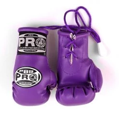 ProBoxingSupplies Pro Boxing® Mini Gloves