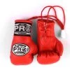 ProBoxingSupplies Pro Boxing® Mini Gloves