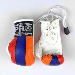 ProBoxingSupplies Pro Boxing® Mini Gloves