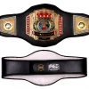 Pro Boxing Supplies Pro Platinum Championship Belt