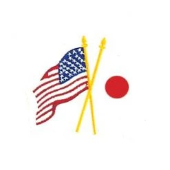 ProBoxingSupplies 2 Flags Patch Banners, Patches, & Decals