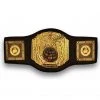 ProBoxingSupplies Pro Platinum Championship Belt Accessories