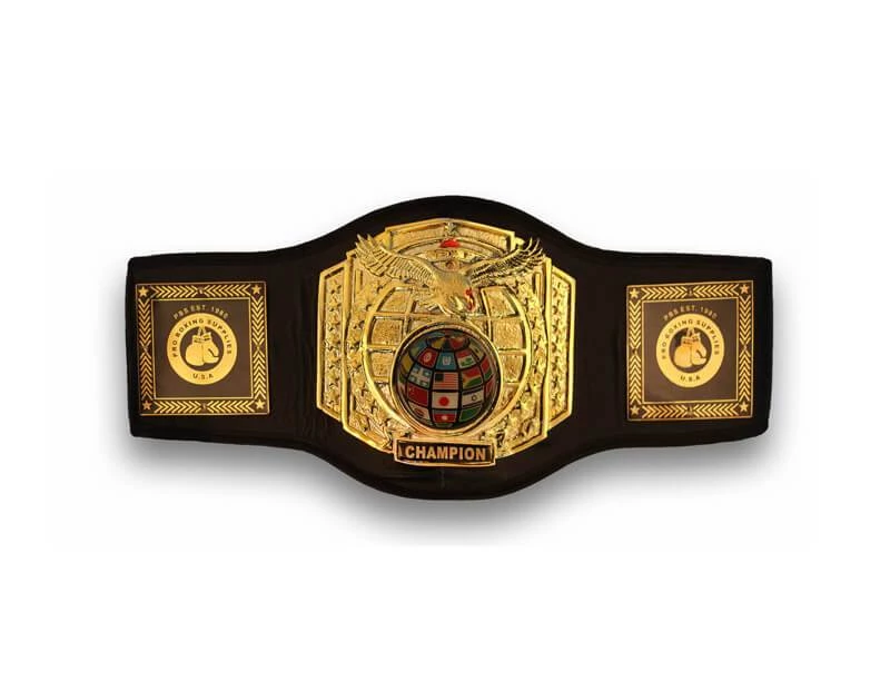 ProBoxingSupplies Pro Platinum Championship Belt Accessories 2 ProBoxingSupplies Pro Platinum Championship Belt Accessories