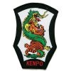 ProBoxingSupplies Dragon & Tiger Kenpo Patch