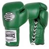 Pro Boxing Supplies Casanova Boxing® Professional Lace Up Training Gloves - Green